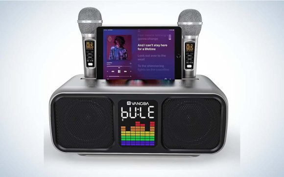 Vangoa makes one of the best karaoke machines that's portable.