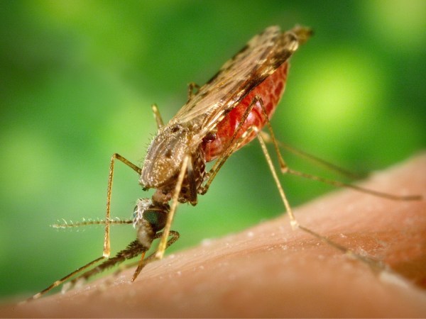 Why did it take 35 years to get a malaria vaccine?