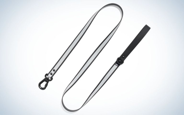 Small black and gray dog leash