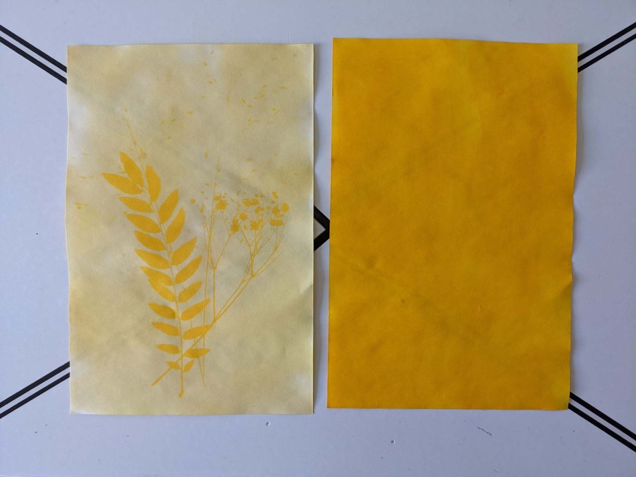 Print your own images using turmeric and sunlight | Popular Science