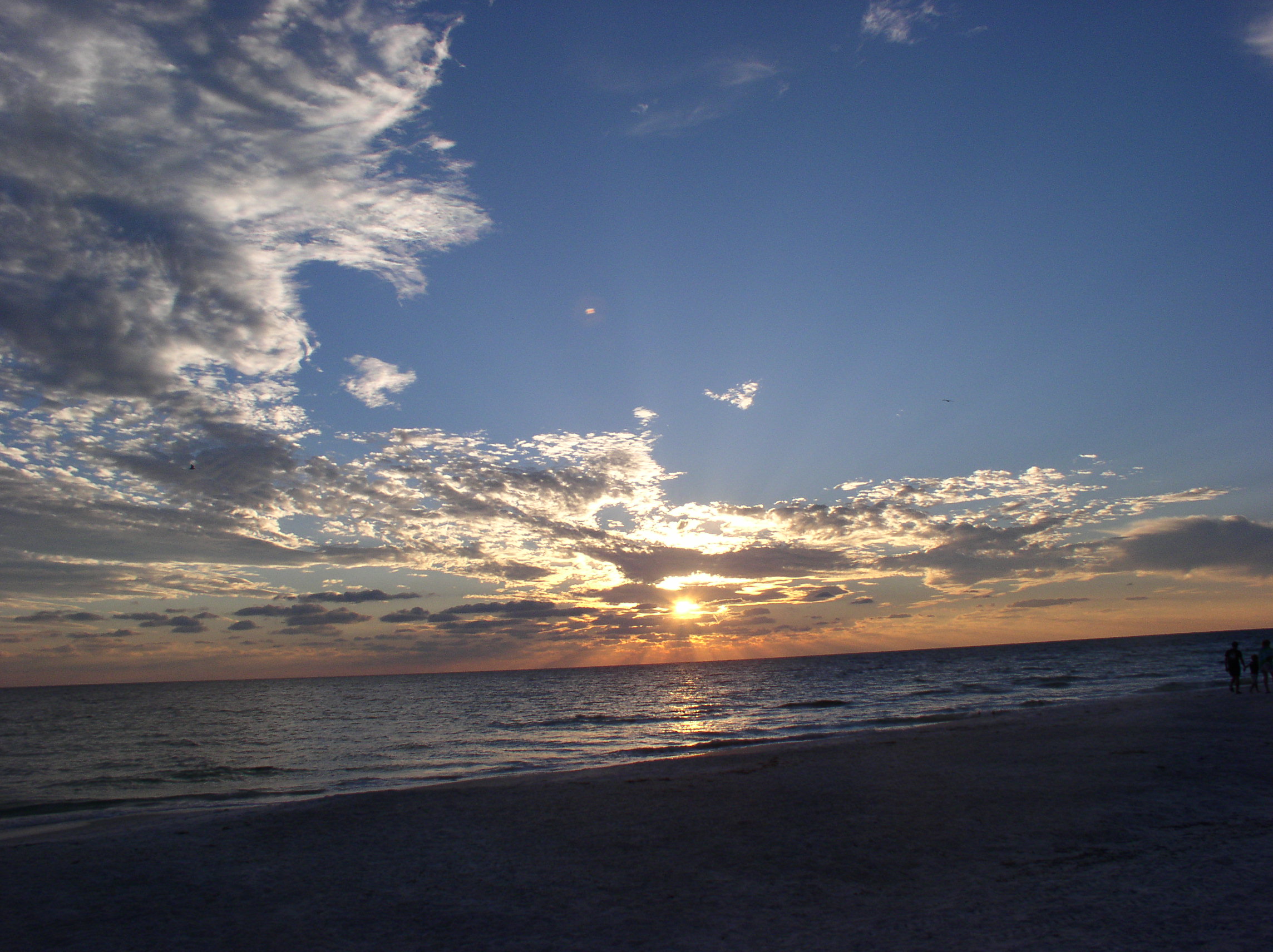 Jean Feingold Avatar