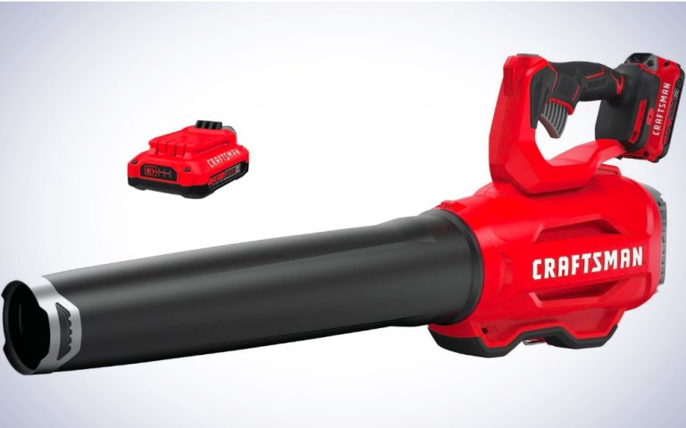 CRAFTSMAN Cordless Leaf Blower