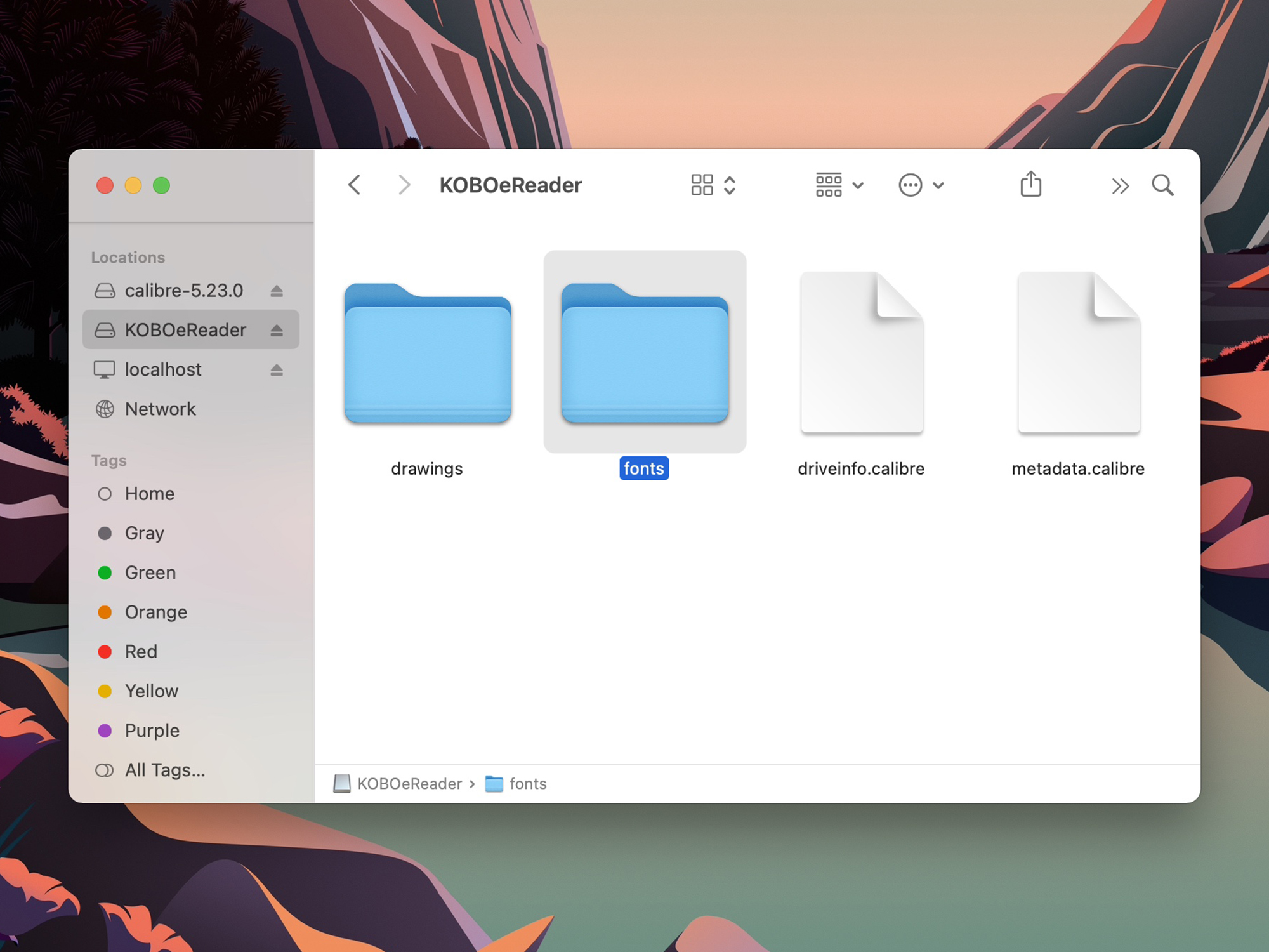 A Kobo folder specifically for fonts.