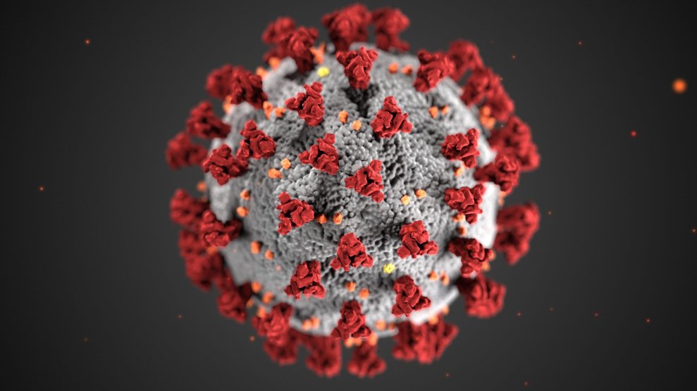 Everything you should know about the new Delta variant | Popular Science