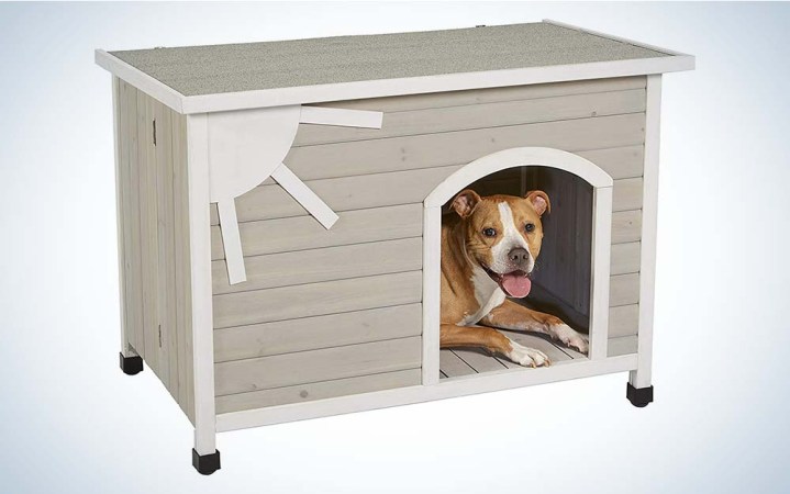 The best dog houses of 2024 | Popular Science