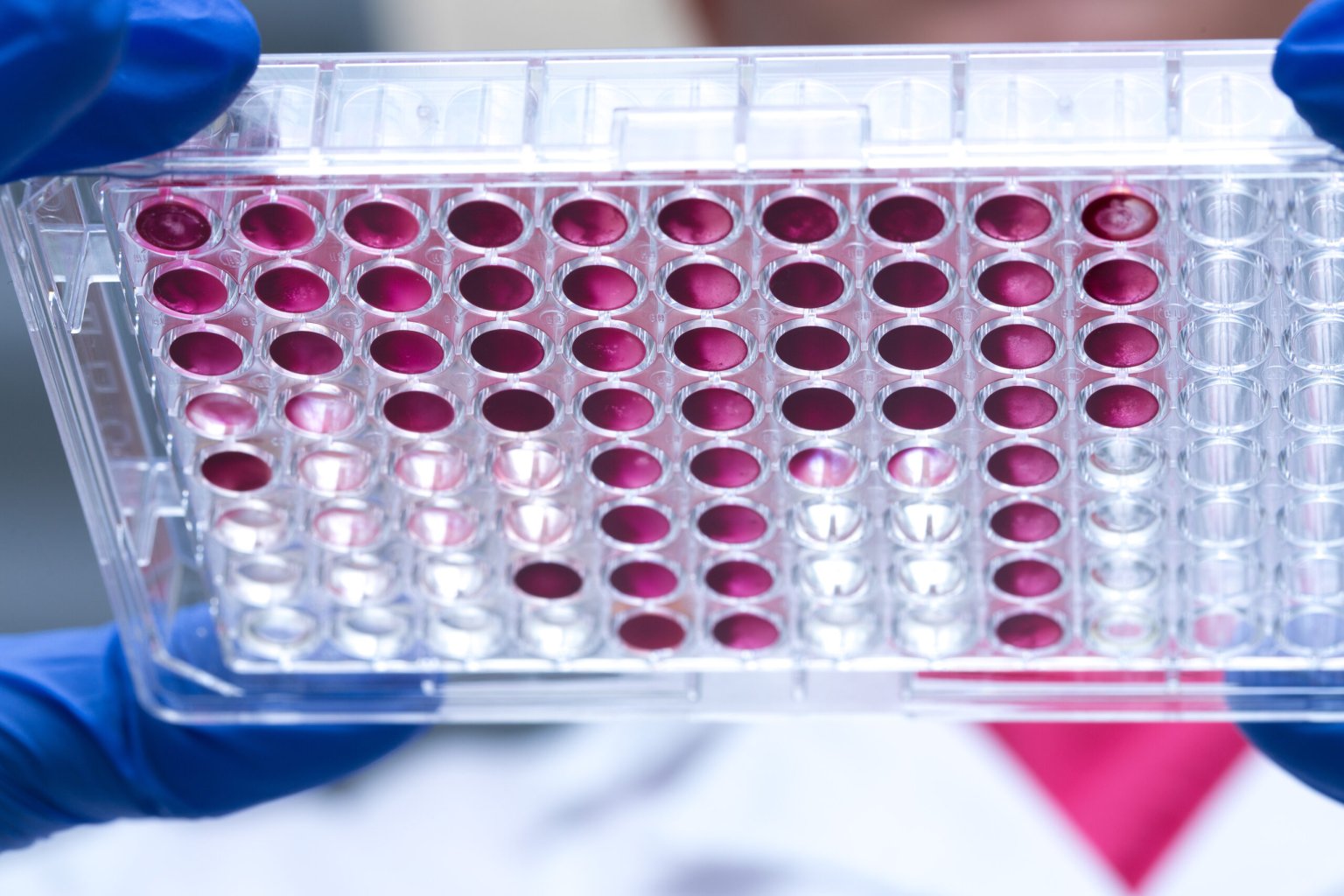 Researchers are racing to figure out if Omicron can beat our vaccines ...