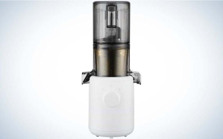 Hurom H310A Personal Self Feeding Slow Masticating Juicer