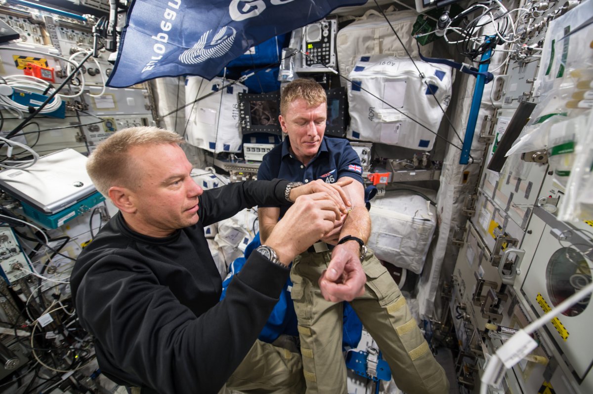 Examples Of Cell Projects Space is destroying astronauts' red blood cells, causing anemia ...