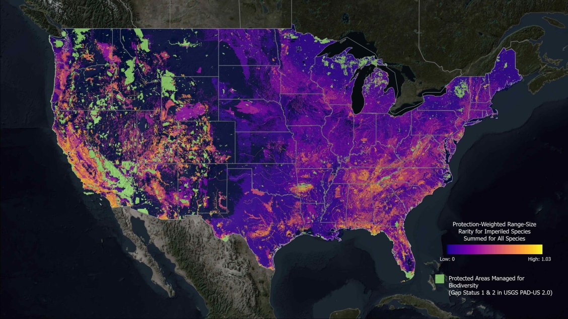 Map shows at-risk species are in Americans' backyards | Popular Science
