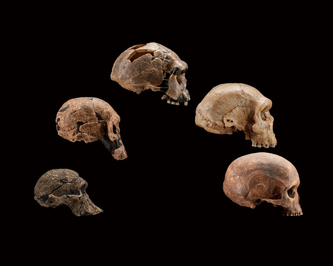How shifting ancient climates shaped human migration | Popular Science