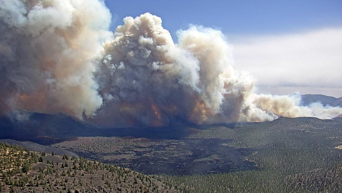 Spring Fire Phoenix Why the US is experiencing earlier springtime wildfires | Popular Science