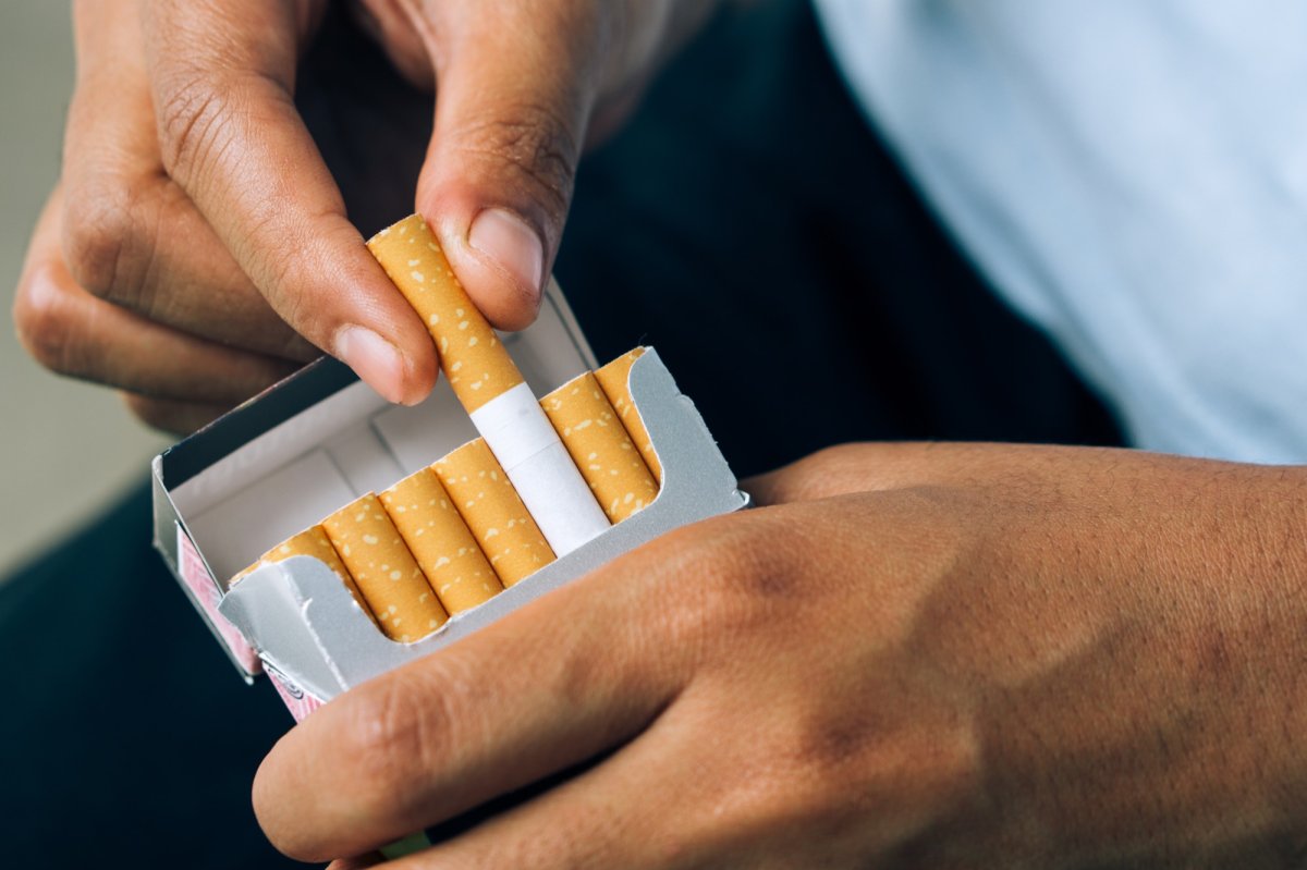 tobacco rolling leaf Reel by Leaf Only Tobacco (@leafonly) · September 30, 2024