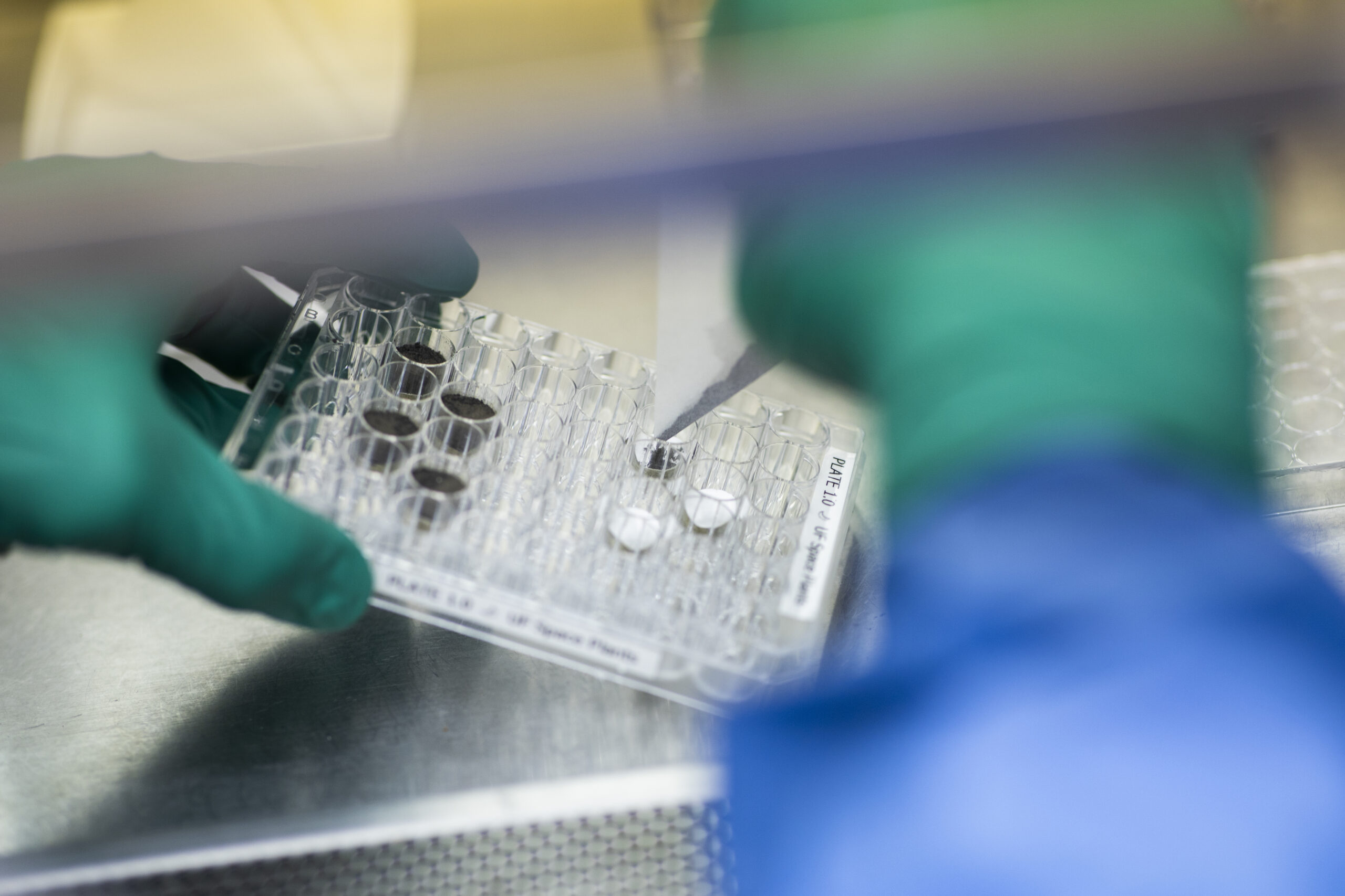 Two gloved hands scoop a small amount of soil into a tray.