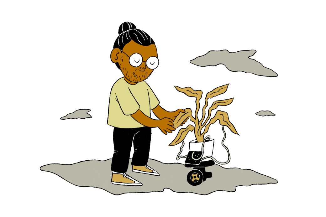 What can biohacked plants do? | Popular Science