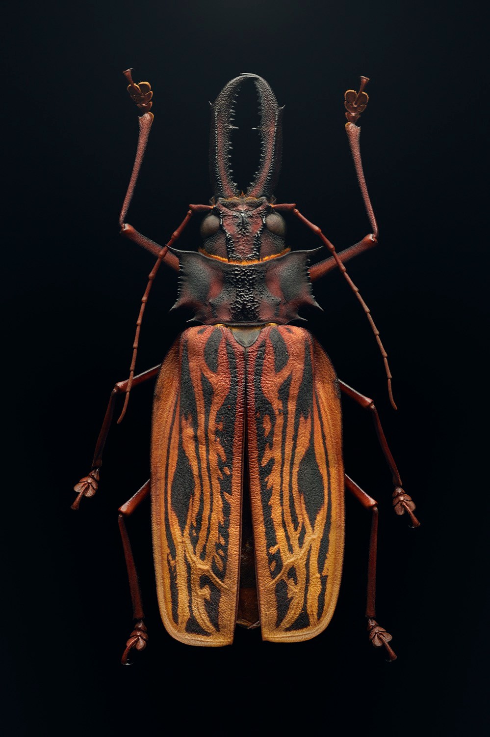 These macro images bring endangered insects to life | Popular Science
