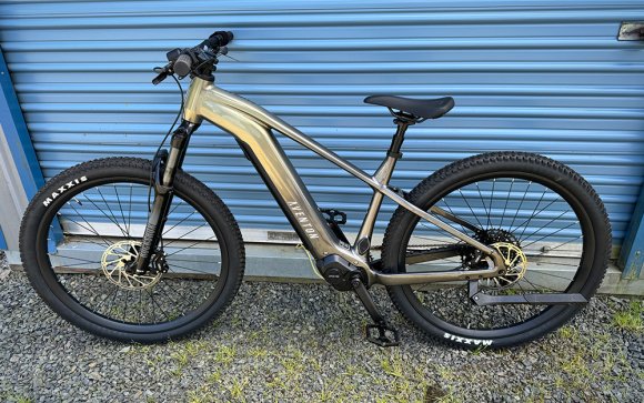Aventon Ramblas budget electric mountain bike leaning against a corrugated metal door