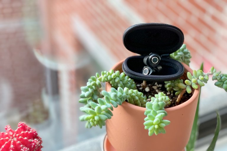 Minuendo earplugs on plant riser in the sun