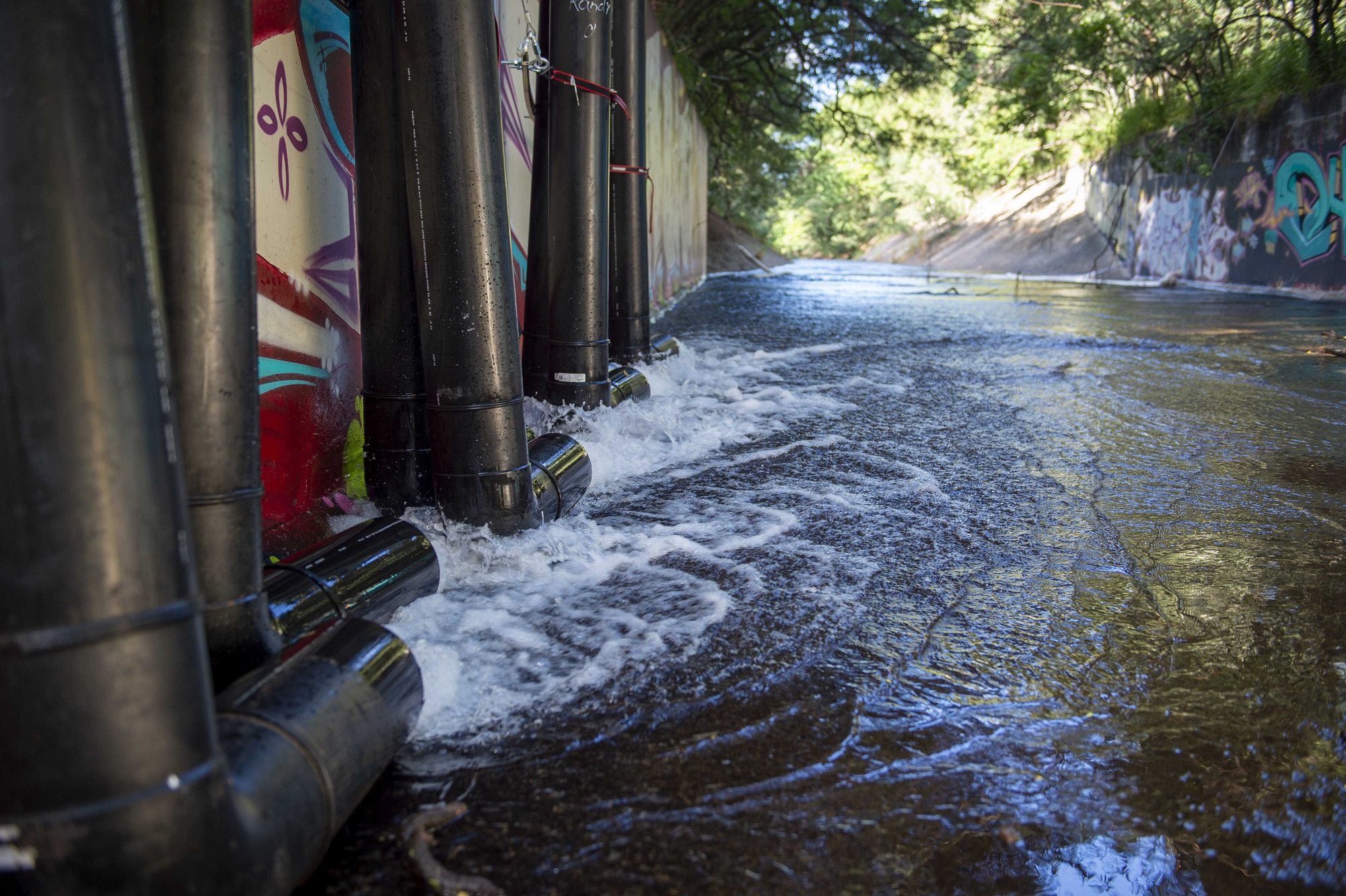 Well water from Red Hill Navy fuel facility being pumped out through pipes into the Halawa Stream surrounded by pink and white graffiti