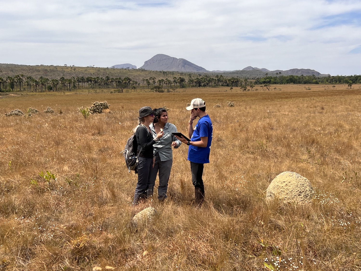 three people stand in a grassy field taking notes by termite mounds