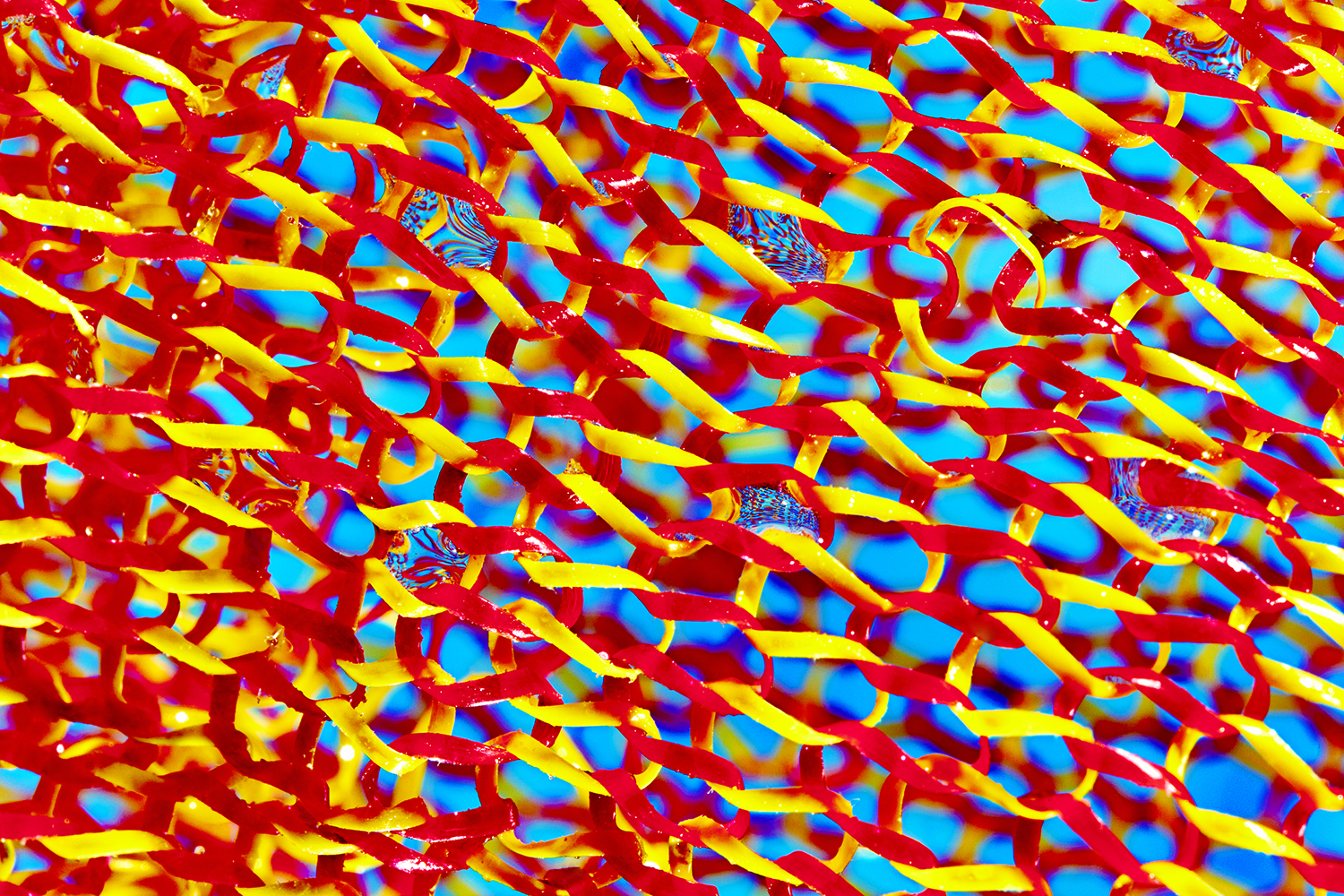 closeup of tuffy scrubber