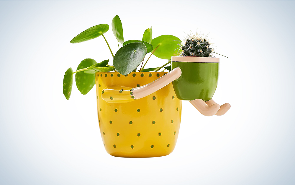 household plant pots LE TAUCI 12 Inch Pots for Plants, Ceramic Pots for Indoor Plants, Plan –  LETAUCI main image 0