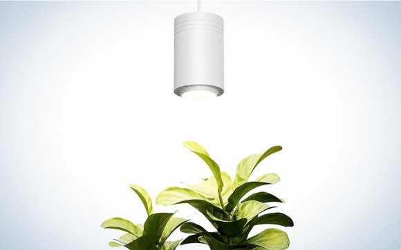 Soltech large white aspect LED grow light