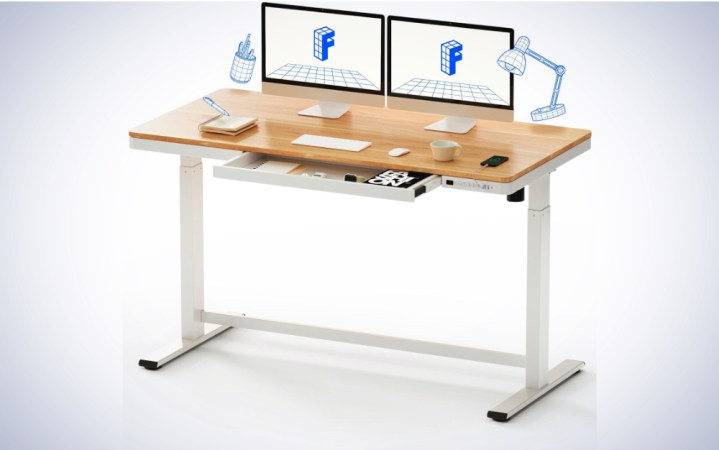 Flexispot Electric Standing Desk with Drawers