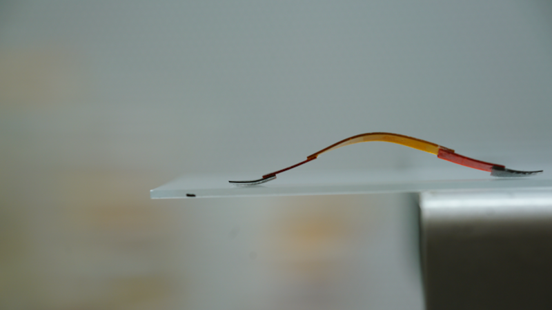 This tiny robot grips like a gecko and scoots like an inchworm