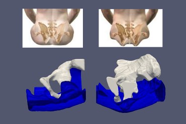 5 butt science stories: butt fat to butt breathing | Popular Science