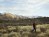 Taylor Wilson walking in front of a snowy Nevada mountain range while hunting for radioactive material