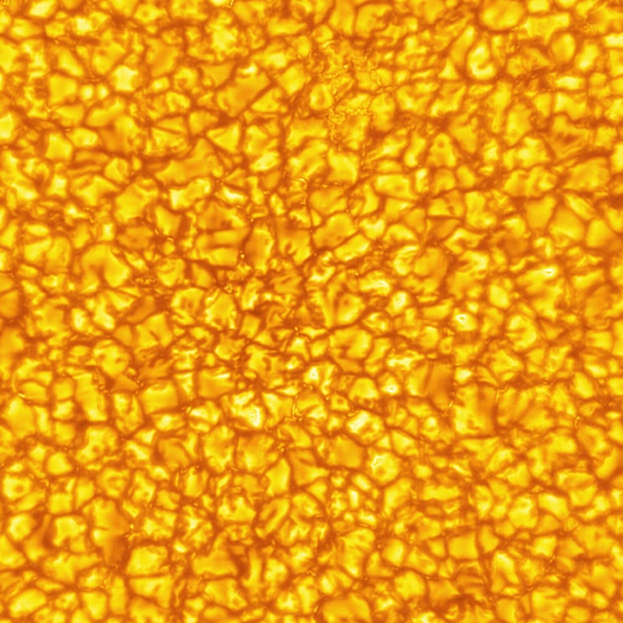 Stunning new sun photos from a powerful NSF telescope | Popular Science
