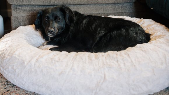 Best Friends by Sheri The Original Calming Donut Shag 2XL Dog Bed with a black dog on it