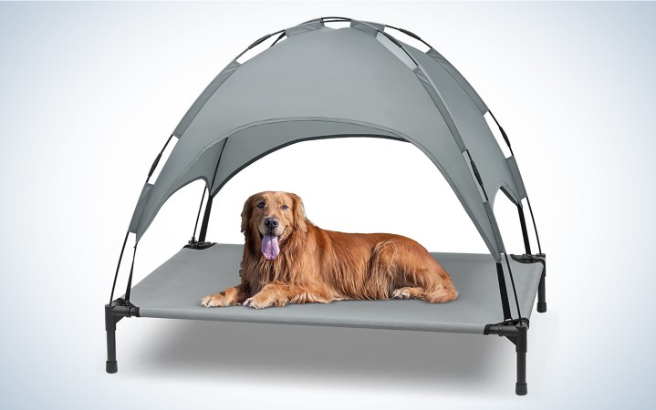 Heeyoo Elevated Dog Bed with Canopy 