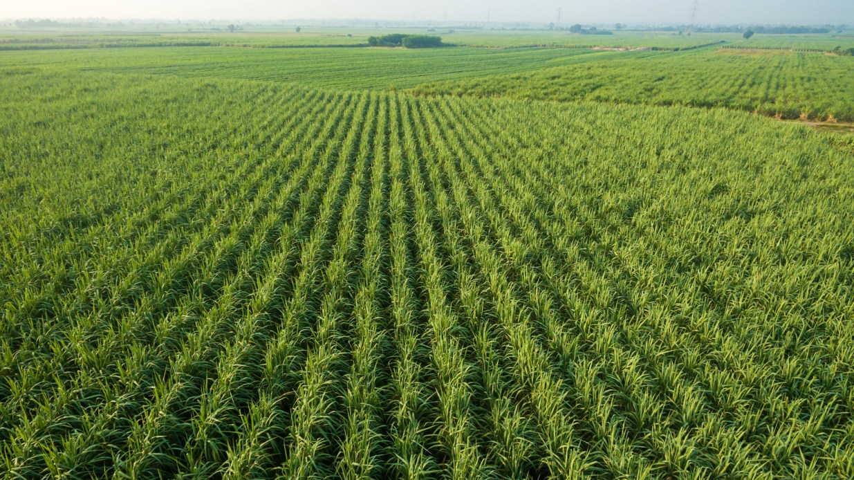 A new climate solution could involve cropland and volcanic rocks ...