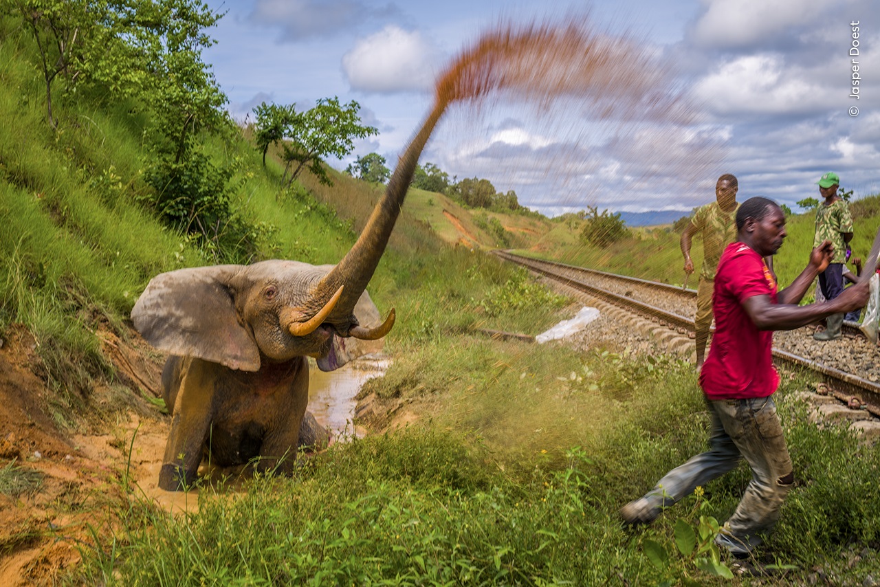 Gallery: Wildlife Photographer of the Year 2023 Highly Commended ...