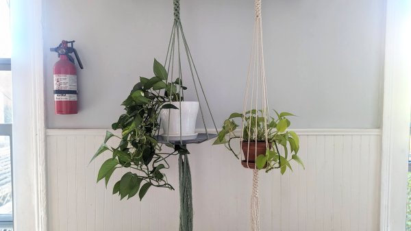 How to make an easy DIY hanging planter | Popular Science