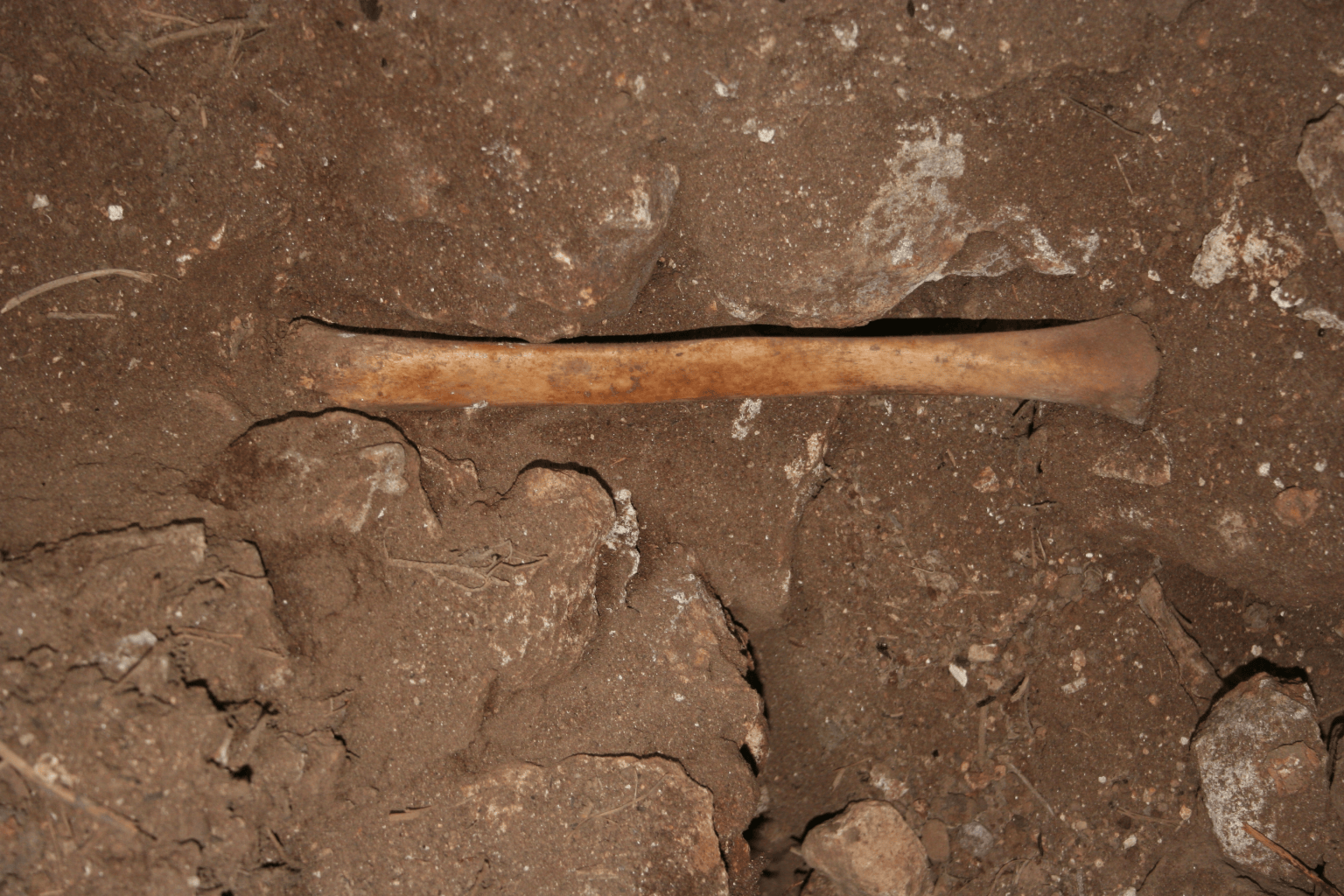 Ancient 'skull-cup' discovered in a burial cave in Spain | Popular Science