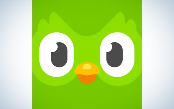 The Duolingo app logo on a blue and white background