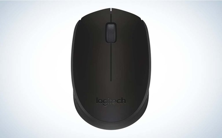 The Logitech M170 is one of the best cheap gaming mice at an extremely budget-friendly price.