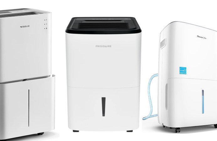 The best air purifiers for mold to breathe easy in 2024
