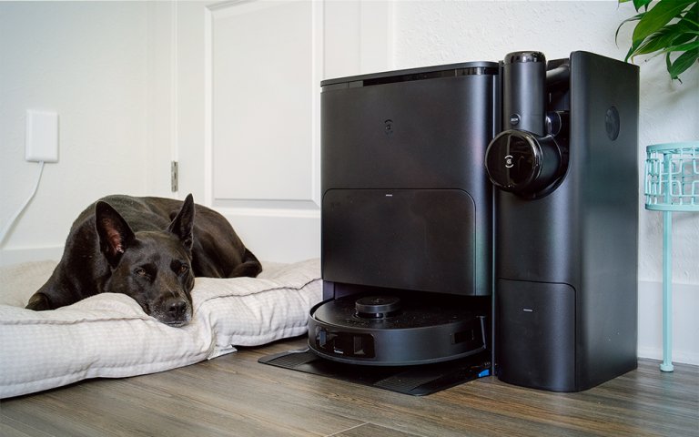 Cute dog laying next to a black robot vacuum base station