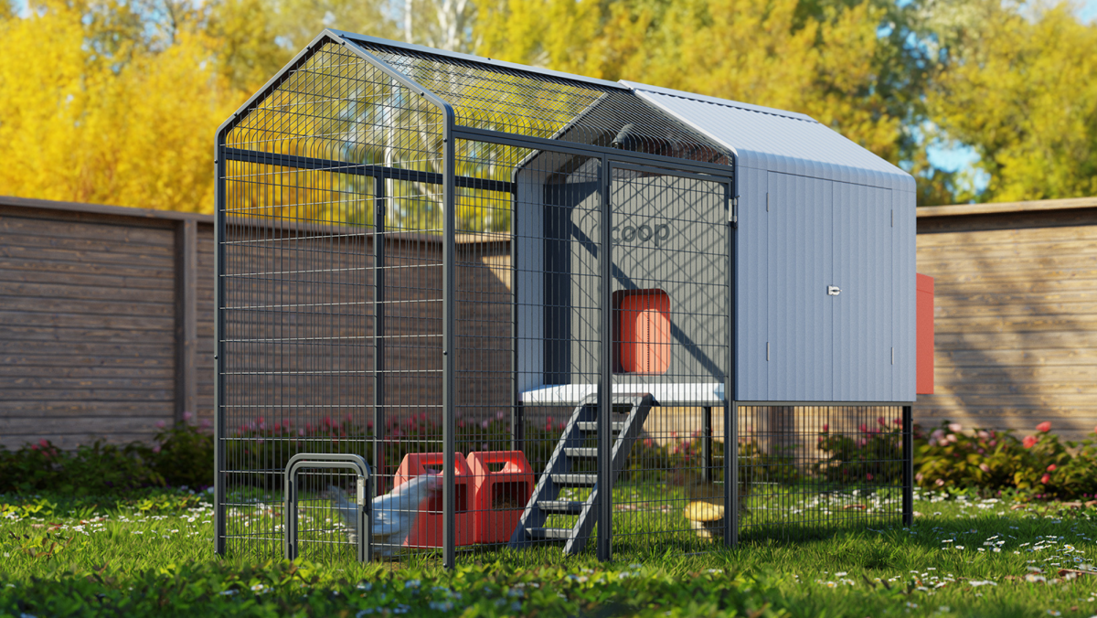 Backyard-Rendering.png?quality