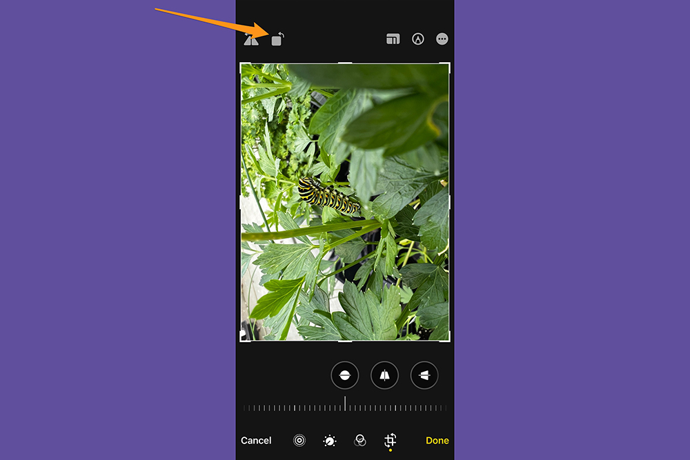 How to edit photos on iPhone Popular Science