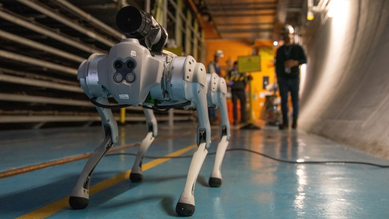 Caption: CERT’s four-legged Robodog can manuevuer throguh cramped spaces and use sensors to spot fires, leaks, or other hazards.