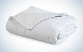 the-best-dog-blankets-to-keep-your-pooch-comfortable-popular-science