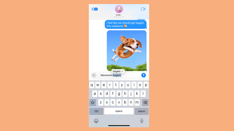 screenshot of imessage conversation talking about bagels