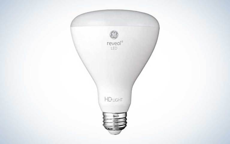 The best LED light bulbs | Popular Science