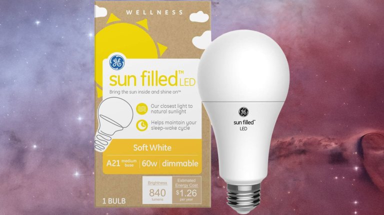 GE Sun Filled LED Light Bulb