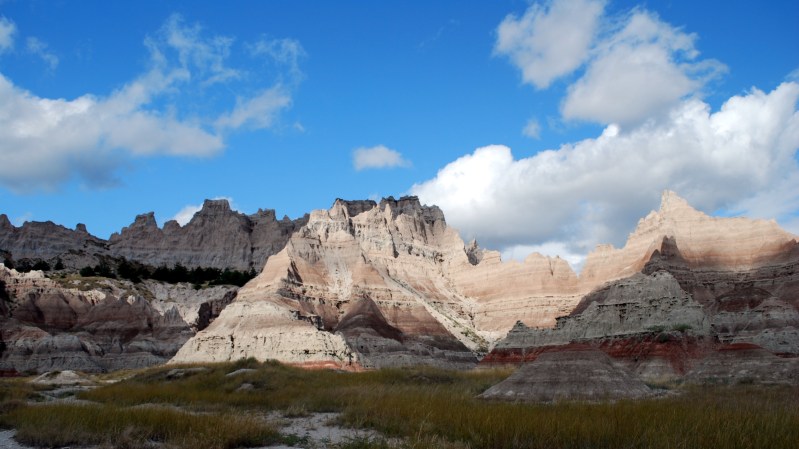 11 US National Parks where you can find fossils