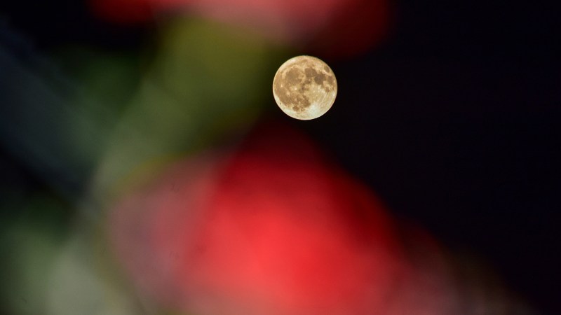 June skygazing: Nevermind the viral ‘planet parade,’ check out the Strawberry/Solstice moon